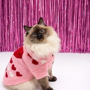 Meet your Posher, Kor